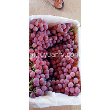uvas vermelhas frescas de yunnan